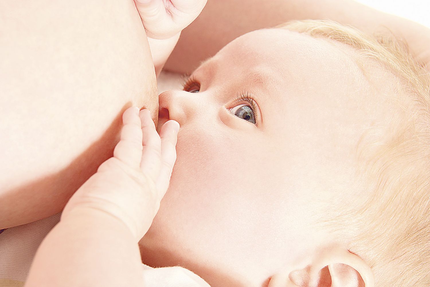  Ein Baby saugt an der Brust seiner Mutter.